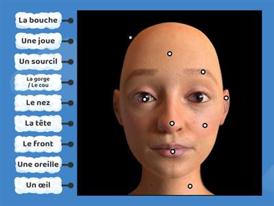 Les parties du corps - Le visage