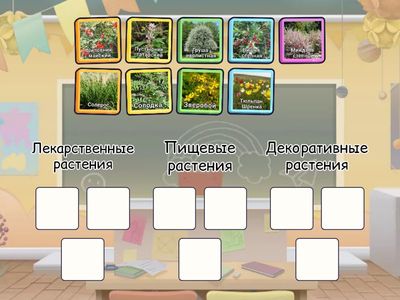 Лекарственные,пищевые и декоративные растения родного края.