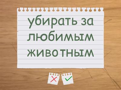 Kuidas hoolitseda lemmiku eest? Sõnavara 9. klass