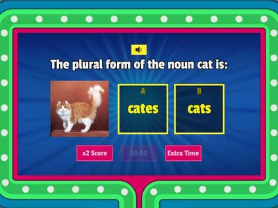 Singular and Plural Nouns Quiz