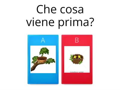  PRIMA E DOPO