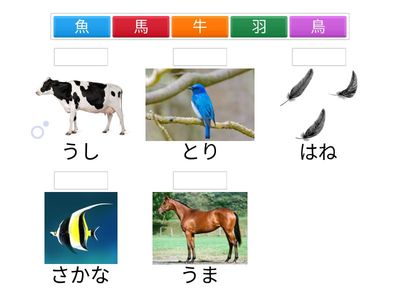 Kanji ①(馬、牛、魚、鳥、羽）