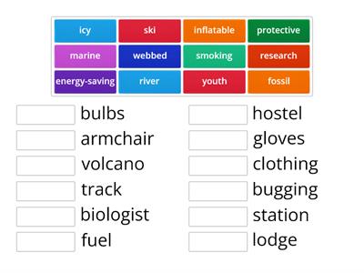 Starlight/City Star 7 - Unit 3 Collocations 2