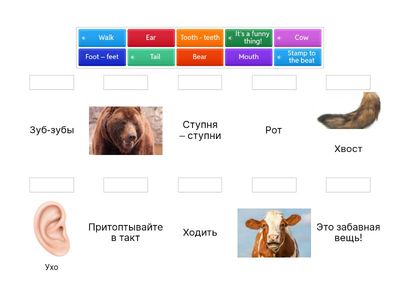 Academy Stars 1 animals