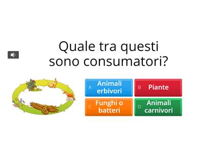 Scienze classe quarta