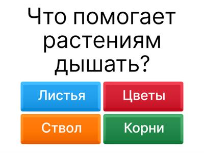 Окружающий мир вокруг нас