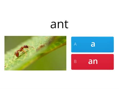 Indefinite articles - a, an