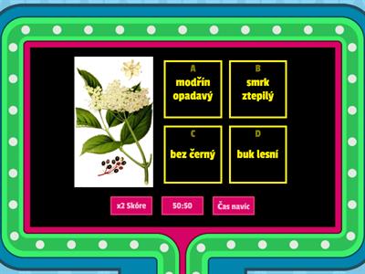zš Luková- 3. třída- rostliny