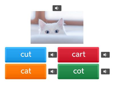 Listen, pronounce and choose