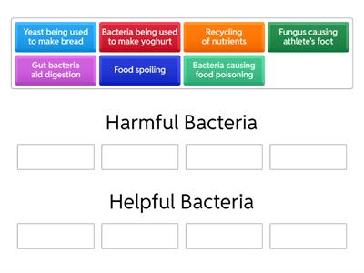 Cells - Lesson 7 BGE