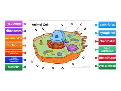 labelling cell
