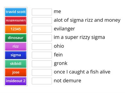 the sigma rizz brainrot wordwall