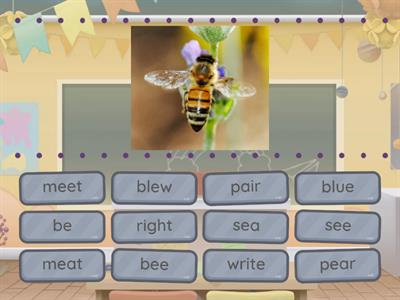Homophones 1