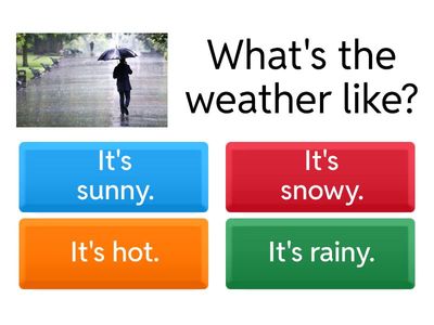What's the weather like?