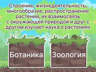 Биология 6 класс растения