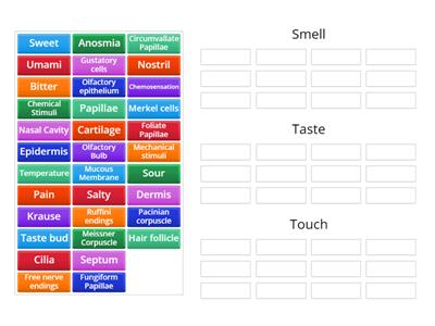 Sensory Matching