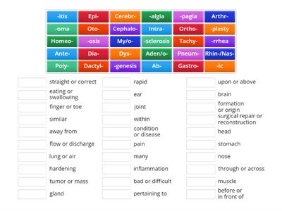 Prefix/Suffix/Root Word Matching