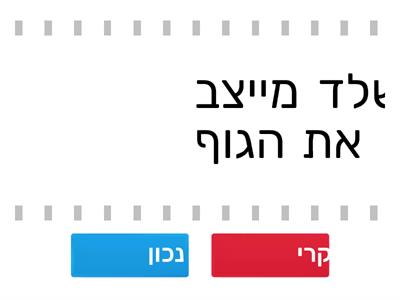 תפקידי השלד