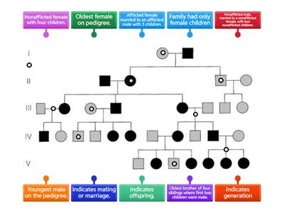 Pedigree Chart labelling