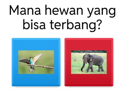 Pengetahuan Umum PAUD #1