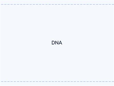 DNA and Inheritance
