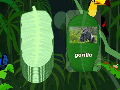 On safari Bugs Team 3