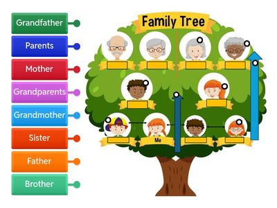 3Gen-FamilyTree-Me-Child