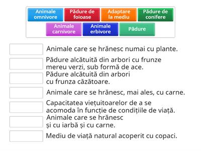 Adaptarea viețuitoarelor la condiții de viață din diferite medii-Pădurea