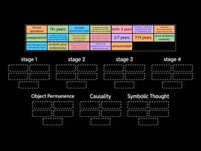 Piaget Stages of development