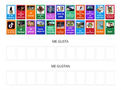 MIS GUSTOS - gusta vs. gustan