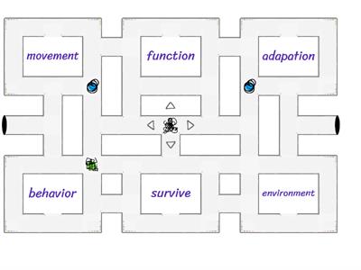 Structures & Functions 