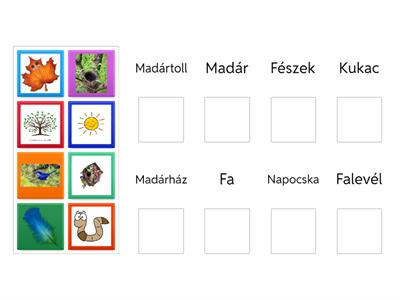 Madarak és Fák Napja - Csoportosító
