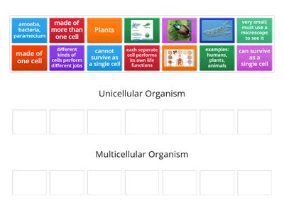 Review Unicellular vs. Multicellular Drag and Drop