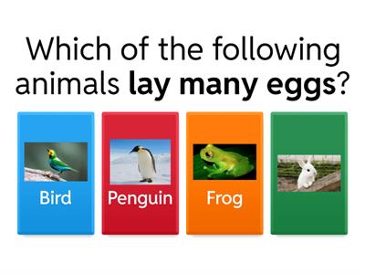  Year 2 Science Revision