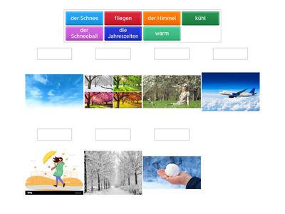Ordnet die Wörter den Bildern zu.