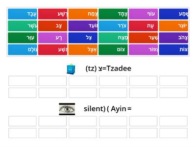  Tzadee/ ayin sort