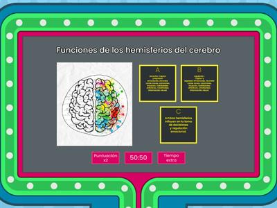 Toma de decisiones y regulación emocional 