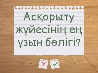 Ас қорыту жүйесі 