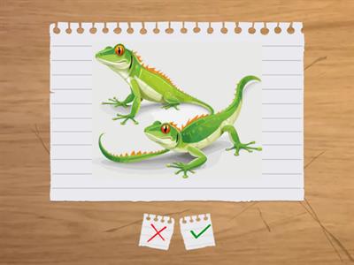 Likes and dislikes 2