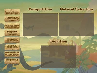 Ch. 7: Darwin's Observations