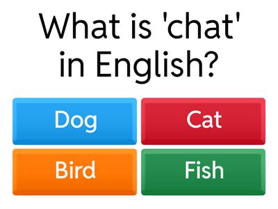 A1 French Reading Comprehension