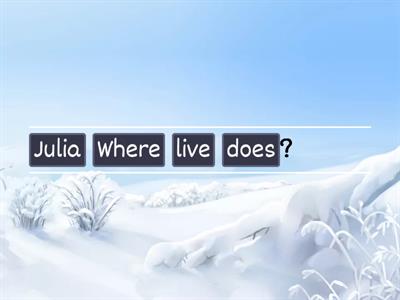 WH questions / Present Simple