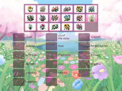  Flower quest! (ниже ср.)