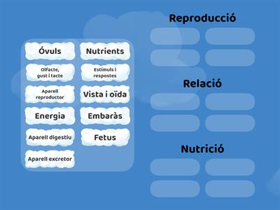 Les funcions vitals