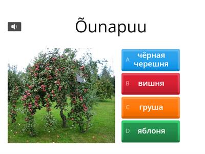 Viljapuud (Estonian-Russian)