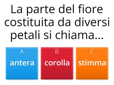QUIZ DI SCIENZE 