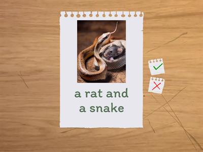 Английский на отлично. Урок 15. Упр. 86