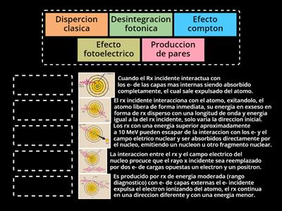 Mecanismo de interaccion de los RX