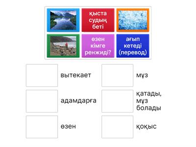 Собчактың мысық суреті