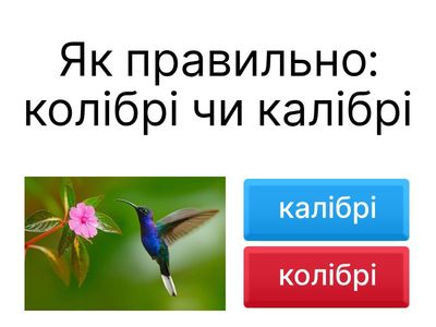 УКРАЇНСЬКА МОВА (ОРФОГРАФІЯ)